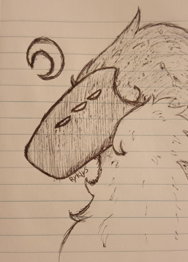 Shooting Star Sketch